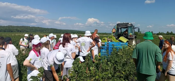 РЕБЯТА ИЗ ЛЕТНЕЙ ШКОЛЫ «ПОГРУЖЕНИЕ В АГРОТЕХ» ПОБЫВАЛИ В КФХ!