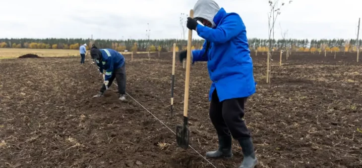 РАСТИ И ЦВЕТИ, СТУДЕНЧЕСКИЙ САД!
