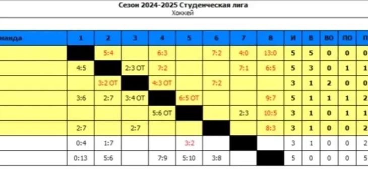 ЧЕМПИОНАТ НИЖЕГОРОДСКОЙ ОБЛАСТИ ПО ХОККЕЮ С ШАЙБОЙ СРЕДИ СТУДЕНТОВ