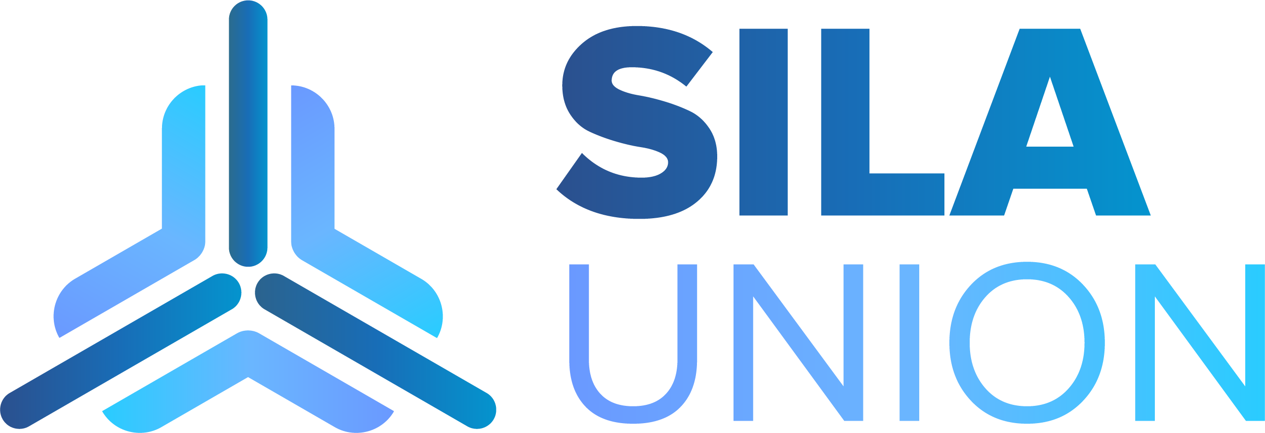 Логотип SILA UNION
